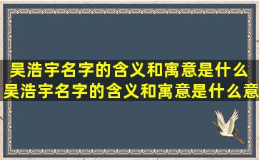 吴浩宇名字的含义和寓意是什么 吴浩宇名字的含义和寓意是什么意思